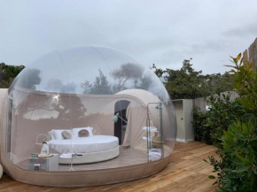 Bubble Room Tuscany